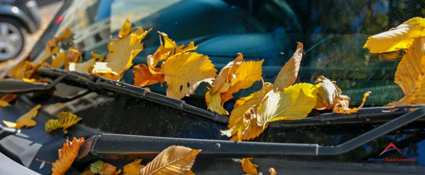 ADAG - Car with Lots of Fallen Leaves